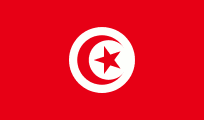 Tunisia remote developer salary